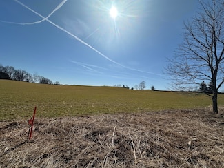 0 W Braun Rd Unit 25009478, Saline, MI 48176