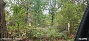 VL-A Demode Rd, Rose Township, MI 48442