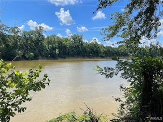 195 Riverview Beach Rd, Moundville, AL 35474