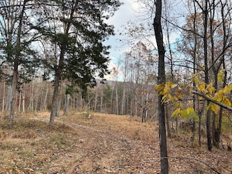 170 Glider Way, Buchanan, VA 24066