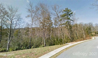 tbd Springhouse Trail Unit 10, Brevard, NC 28712