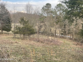 135 Morris Ln, Kingston, TN 37763