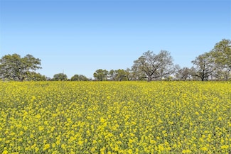 602 NW River Rd, Martindale, TX 78655