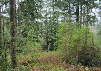 4606 W Tapps Dr E, Lake Tapps, WA 98391