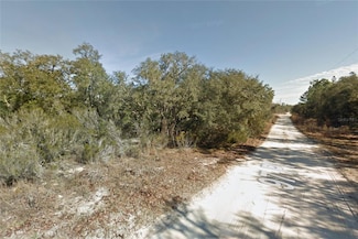 00 97 Place, East Bronson, FL 32618