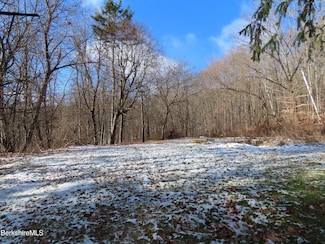 59 Wheeler Ave, Clarksburg, MA 01247