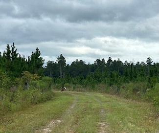 0 S Springhill Rd, Gordon, AL 36343