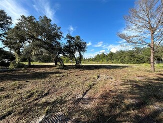 LOT 27 Fazzini Dr, Frostproof, FL 33843