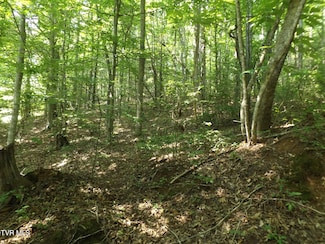 Tbd Rome Hollow Rd, Elizabethton, TN 37643