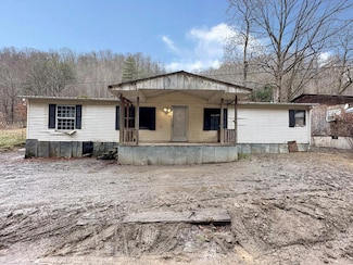 313 Foundation Fork, Simon, WV 24882