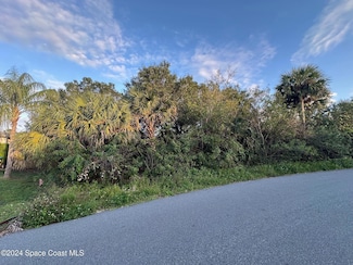 2961 Palisades Dr SE, Palm Bay, FL 32909