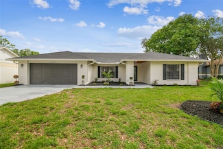 3205 Pleasant Lake Dr, Tampa, FL 33618