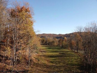 Lot A Island Rd, Junior, WV 26275