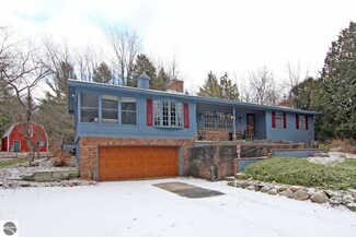 13185 S Roman Rd, Cedar, MI 49621
