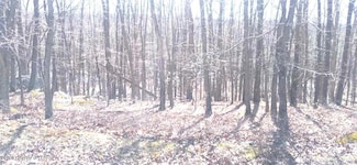 WS 127&128 Adobe Way, Hazle Township, PA 18202