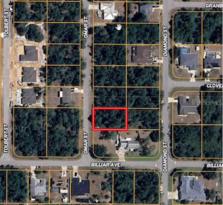 2338 Omar St, Port Charlotte, FL 33948