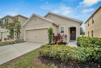 10235 Geese Trail Cir, Sun City Center, FL 33573