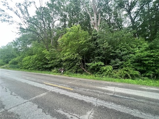 0 Rayen Unit 4471399, Leavittsburg, OH 44430