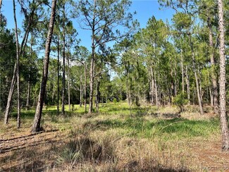 4998 Unnamed Way, Hernando, FL 34442