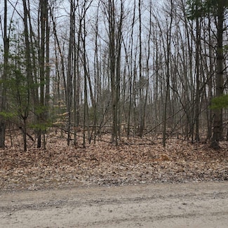 45 Scott Rd, Greenbush, MI 48738