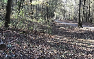 #6 Red Bird Dr, Hayesville, NC 28904