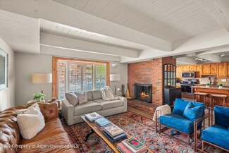 901 E Hyman Ave Unit 1, Aspen, CO 81611