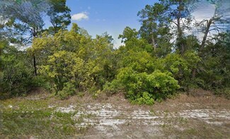 215 & 217 Treasure Ave NE, Placid Lakes, FL 33852
