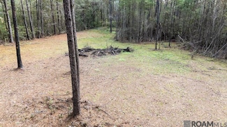 0 Browns Rd, Folsom, LA 70437