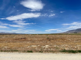 21785 Kush Ct, Humboldt River Ranch, NV 89419