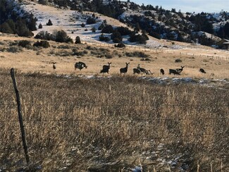 Lot 437 Cloud House Rd, Three Forks, MT 59752