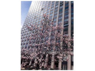 320 Ft Duquesne Blvd Unit 17 O, Pittsburgh, PA 15222