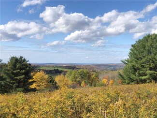4915 State Route 79, Harpursville, NY 13787