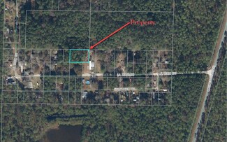 0 Lil Dixie Dr, Sanderson, FL 32087