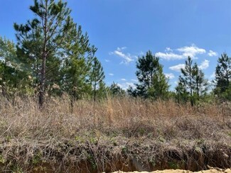 3 acres 2t470540012 Mt Pleasant Rd, Pineview, GA 31071