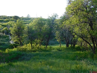 3365 Road 10 8, Dove Creek, CO 81324