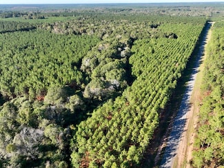 0 Barrentine Rd, Rochelle, GA 31079