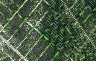 637 Strathmoor St, Lake Placid, FL 33852