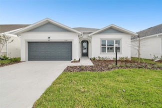 11341 Hardwood Hammock Ln, Riverview, FL 33569