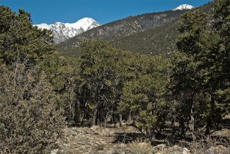 2183C Jackrabbit, Crestone, CO 81131