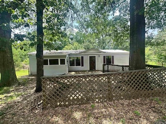 161 Coppedge Smith Rd, Harleton, TX 75651