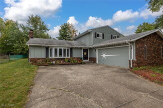 3693 Bramblewood Dr, Brunswick, OH 44212