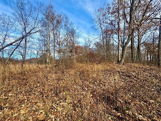 00 129-00-00-051 00 Ridgeline Rd, Raccoon, KY 41566