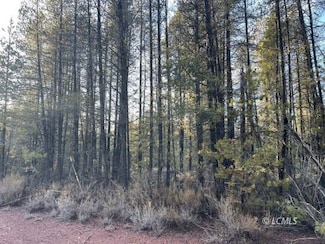 0 Deacon Unit 3007168, Chiloquin, OR 97624