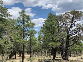 3822 Durango Dr, Happy Jack, AZ 86024