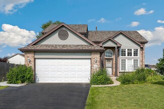 25710 S Violet Ln, Monee, IL 60449