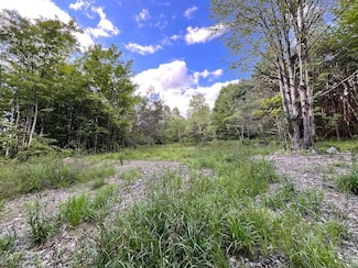 0 N Greenbush Rd Unit LotWP016 20915128, Erin, NY 14838