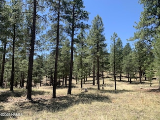 2343 E Del Rae Dr, Flagstaff, AZ 86001