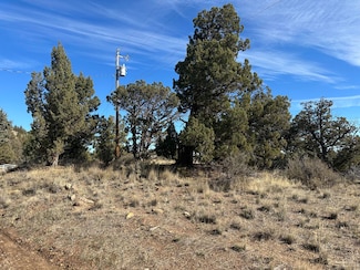 0 SE Renegade Loop Unit Lot 3, Prineville, OR 97754