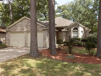 10467 Twin Circles Dr, Montgomery, TX 77356