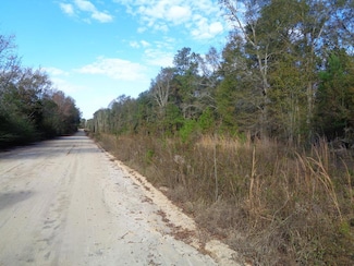 00 Hwy 27 S and Bates Rd, Blakely, GA 39823